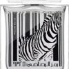 Rasasi Rumz Al Rasasi Zebra Pour Elle 1 Rasasi Rumz Al Rasasi Zebra Pour Elle -Parfums rasasi rumz al rasasi zebra pour elle eau de parfum pour femme 17